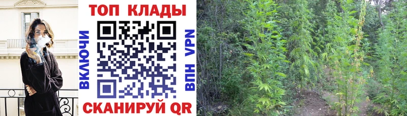 Где можно купить наркотики Дагестанские Огни А ПВП  ОМГ ОМГ онион  Cocaine  ГАШИШ  MDMA 