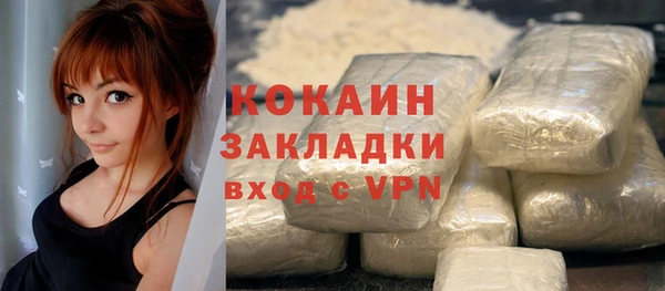 мяу мяу мука Бородино