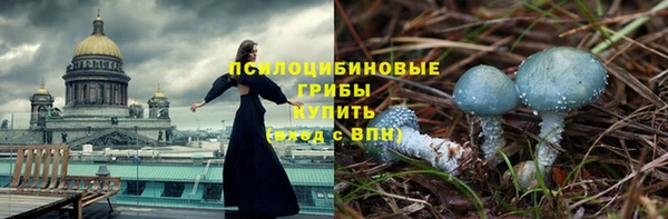 мяу мяу мука Бородино