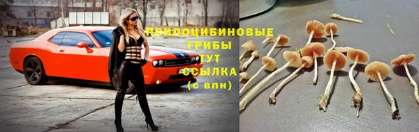мяу мяу мука Бородино