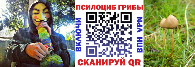 Галлюциногенные грибы GOLDEN TEACHER  гидра как войти  Дагестанские Огни 